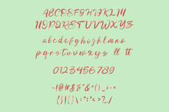 Imote Feminine Script Font Product Image 7