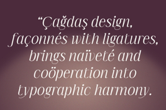 Imperial Aureas Minimal Modern Serif with Italic Product Image 6
