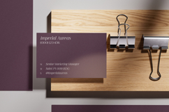 Imperial Aureas Minimal Modern Serif with Italic Product Image 8