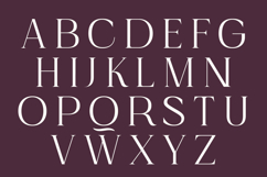 Imperial Aureas Minimal Modern Serif with Italic Product Image 9