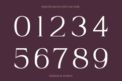 Imperial Aureas Minimal Modern Serif with Italic Product Image 12