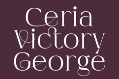 Imperial Aureas Minimal Modern Serif with Italic Product Image 15