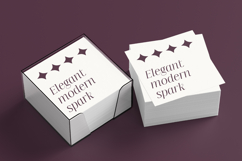 Imperial Aureas Minimal Modern Serif with Italic Product Image 16