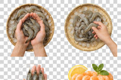 Shrimp Photo | raw cooked seafood ingredient prawn shellfish Product Image 8