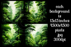 Nature Backgrounds, Jungle Backgrounds, Trees, Tropical, s1 Product Image 2