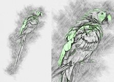 Incredible Glow Sketching Effects Product Image 9