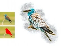 Incredible Sketching Effect Product Image 4