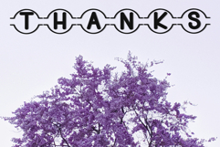 Incredible Product Image 8