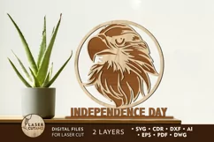 Patriotic Eagle, Independence Day, 4th of July, USA Flag Product Image 1