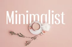 Influencer - Feminine Beauty Sans Serif Product Image 2