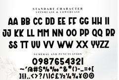 Influencer Product Image 5