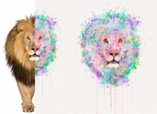 Ink Drop Painting Photoshop Action Product Image 7