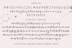 Inkspill Script and Sans Duo Product Image 10