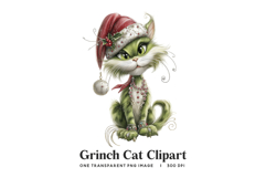 Grinch Cat Clipart PNG Product Image 1