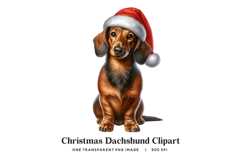 Christmas Dachshund PNG Single Graphic 300 DPI Pet Clipart Product Image 1