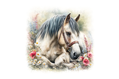 18 Watercolor Horse Floral PNG Clipart Bundle 300 DPI Pastel Product Image 13