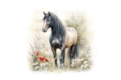 18 Watercolor Horse Floral PNG Clipart Bundle 300 DPI Pastel Product Image 3