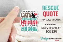 In Rescuing Cats I have Lost My Mind But Found My Soul Product Image 1