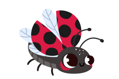 Cute Bugs Clipart , Hand Drawn Insects Graphics Product Image 4