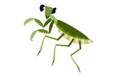 Cute Bugs Clipart , Hand Drawn Insects Graphics Product Image 7