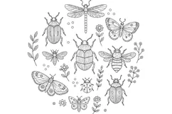 Woodland Insects Hand Embroidery Pattern PDF, Moth and Beetl Product Image 2