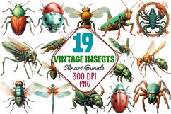 Insects Clipart, Insects Sublimation, Insects Png Insect Illustrations, Insect Clipart, Insect Sublimation, Vintage Insect Illustrations, Butterfly Sublimation, Butterfly Illustrations, Butterfly Clipart, Watercolor Butterfly Clipart, Butterfly Insect, In