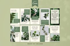 Plants Instagram Story Canva Template Product Image 4