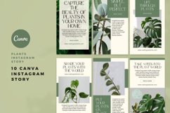 Plants Instagram Story Canva Template Product Image 2