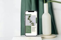 Plants Instagram Story Canva Template Product Image 5