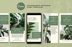 Plants Instagram Story Canva Template Product Image 3
