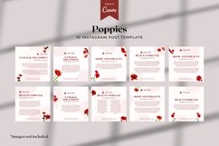 Poppies themed Instagram Post, Canva Templates Product Image 1