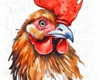 Watercolor Rooster PNG Digital Download Product Image 5