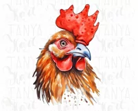 Watercolor Rooster PNG Digital Download Product Image 6