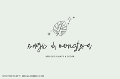 Intuition Script Product Image 7