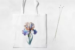 Birth Month Flowers Clipart, February Iris PNG. Product Image 3
