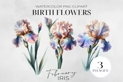 Birth Month Flowers Clipart, February Iris PNG. Product Image 1
