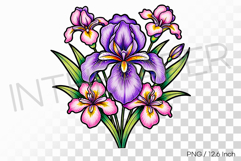 Felt tip pen marker drawing Iris PNG flower clipart Product Image 1
