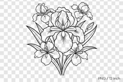 Black ink line art Iris coloring page PNG Flower illust Product Image 1