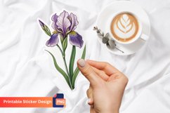 Iris Flower Sticker,Botanical Sticker,Blooming Iris Sticker Product Image 1