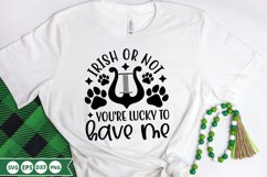 St. Patrick&#039;s Day SVG Bundle - T-Shirt Design Product Image 7