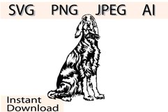 Irish Setter dog/Dog Svg/Png/Jpg/Ai/Vector purebred bree Product Image 1