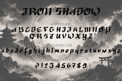 Iron Shadow Product Image 4