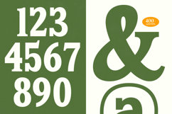 Island Boyage - Modern Serif Display Product Image 13