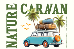 Island Boyage - Modern Serif Display Product Image 17