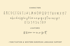 Island Sun Script Product Image 10