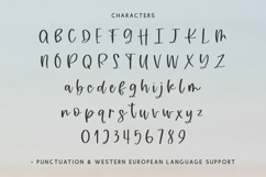 Island Vibes Script Product Image 10