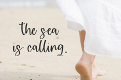 Island Vibes Script Product Image 2