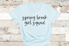 Island Vibes Script Product Image 5