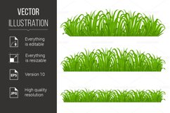 Green Grass Product Image 1