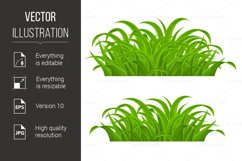 Green Grass Product Image 1